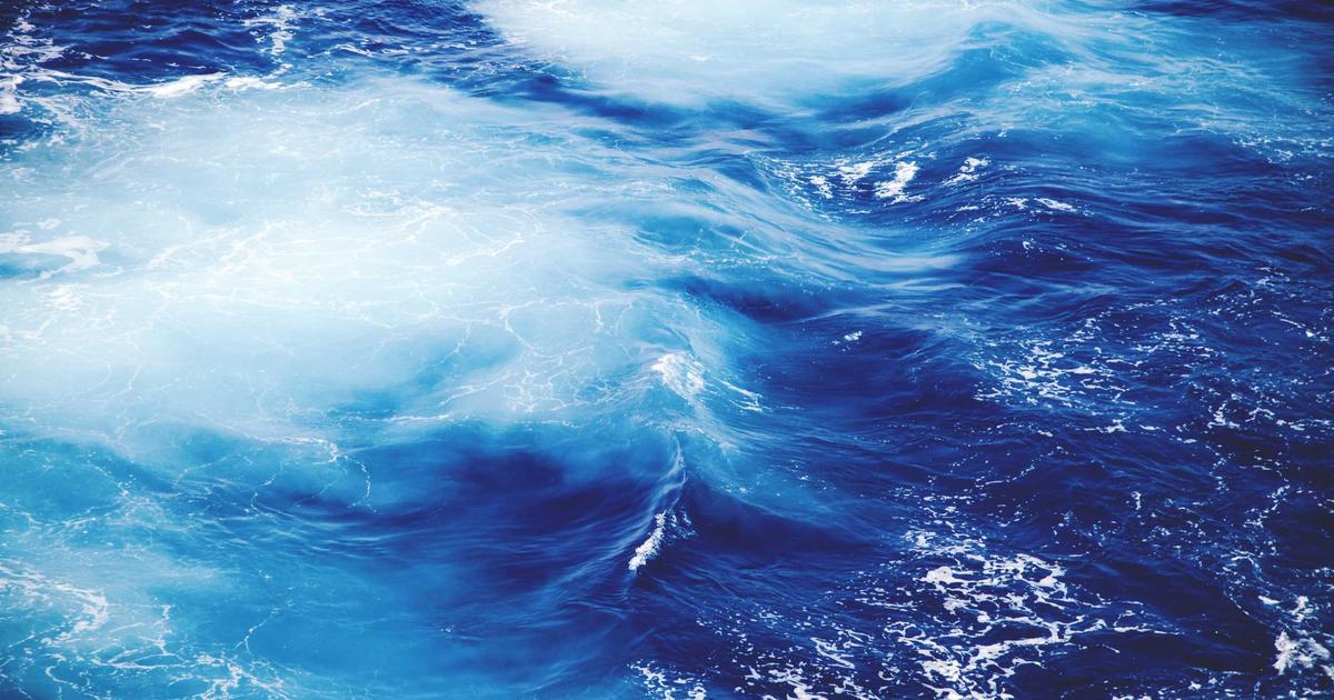 Logo vs. identidad de marca: la diferencia que nadie le explica a los dueños de negocio